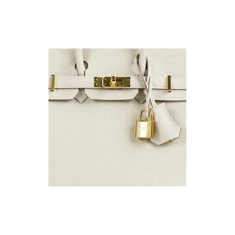 HERMES Birkin 25 Bag in Milkshake White togo leather featuring gold hardware, a luxury bag for women with timeless craftsmanship.