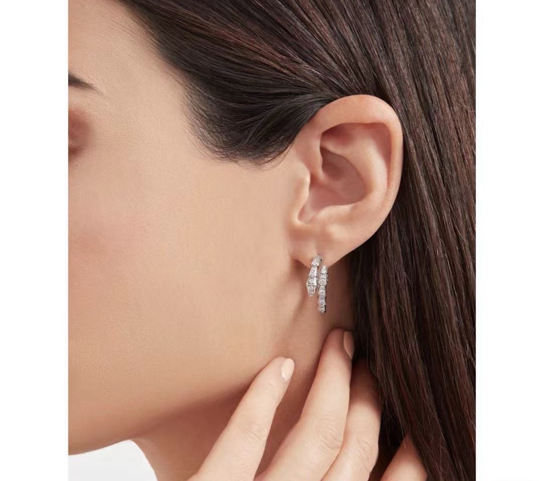 bvlagrai  earings 56578